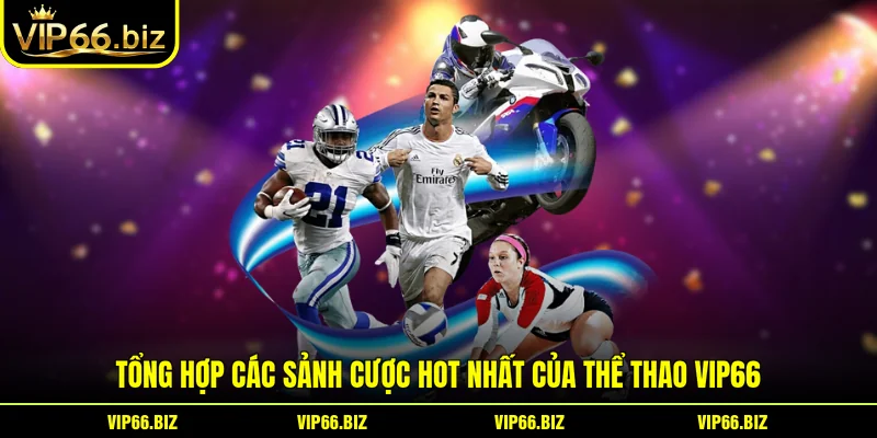 Tổng hợp các sảnh cược hot nhất của thể thao VIP66